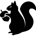 icone tarif écureuil