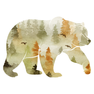 Decorative Image